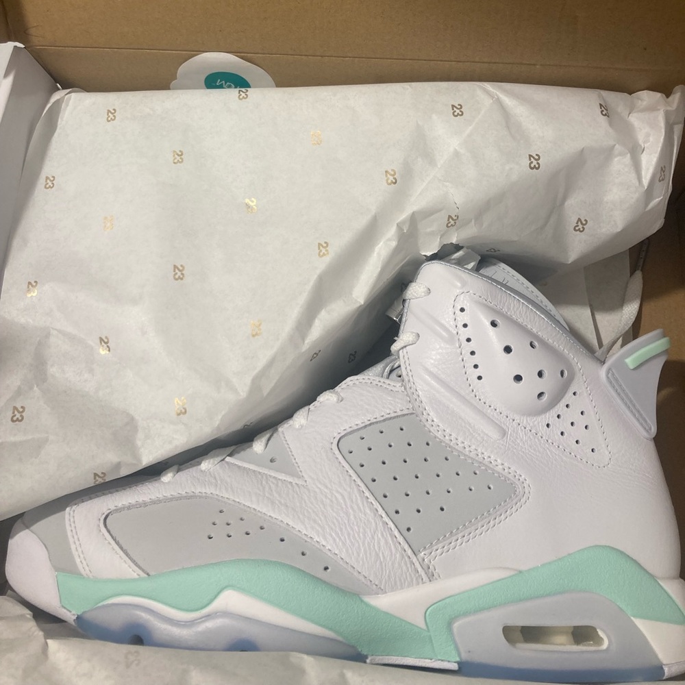 Air Jordan 6 Retro